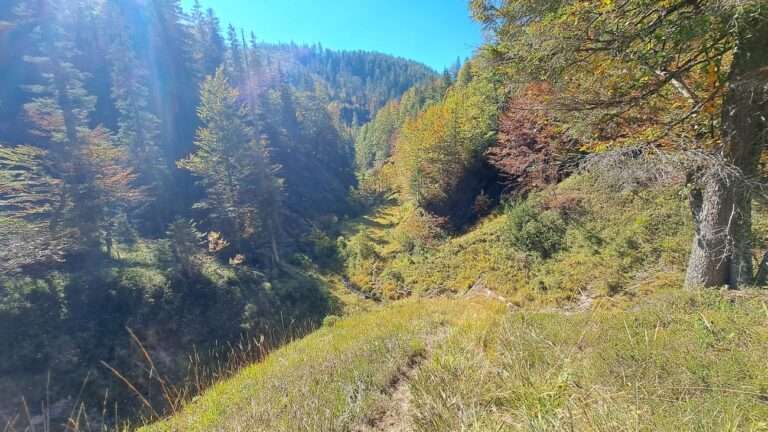 Herbst, Sonne, Weingartalm